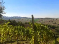 Farmhouse in Marche with Pool and Coastal Views