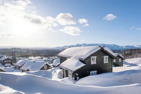 Rauland Feriesenter Отели в г. Rauland