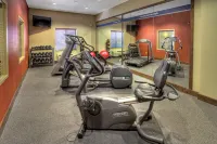 Hampton Inn Twin Falls - Gym