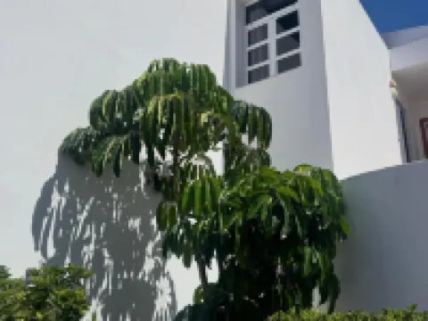 Hotel Malibu Park Hotels in Costa Adeje