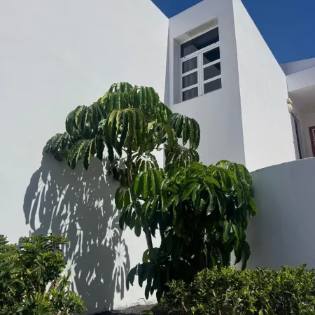 Hotel Malibu Park Отели в г. Коста Адехе