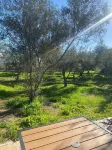La Mata de Nuez - Chalets