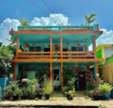 เลิฟโซลบิวตี้ฟูล