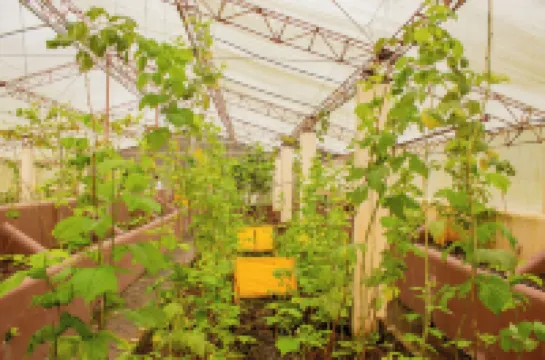 Hotel Campestre Rancho La Lechería