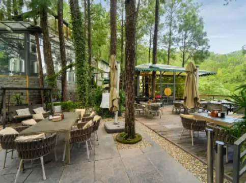 Kasauli Hills Resort