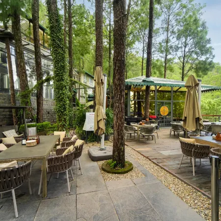 Kasauli Hills Resort