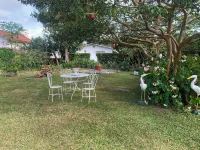 Escape to Paradise at Venus Lodging House, Alto Boquete Hotels in Alto Boquete