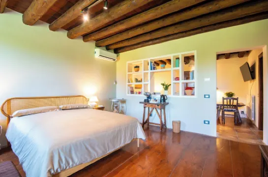 鄉村奢華柳樹民宿