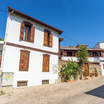 Amazon Petite Palace