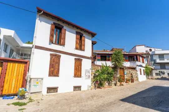 アマゾン プティ パレス