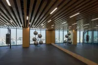 Radisson Collection Residences, Riyadh - Gym