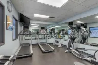 Comfort Suites Boise West Meridian - Gym