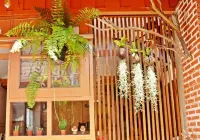 Pailin Guest House
