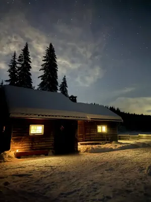 Cottage in the forest - 2-Star