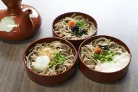 태비스트 호텔 야쿠모 마쓰에 - 2성급