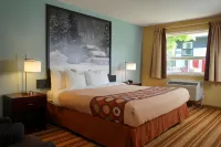 Jolly Roger Inn & Resort - parking