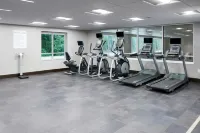 Holiday Inn & Suites PHILADELPHIA W - DREXEL HILL by IHG - Gym