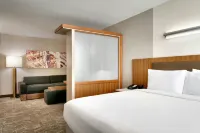 拉斯維加斯會展中心SpringHill Suites套房飯店 - 3 星級