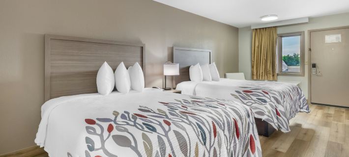 Red Roof Inn Staunton Hotels in Staunton