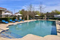 Hampton Inn & Suites Legacy Park-Frisco - مسبح