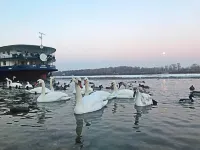 Aquamarina Hotel Visegrád Hoteles en Budapest