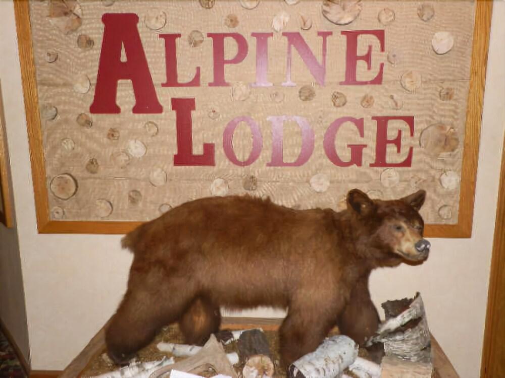 American Alpine Lodge