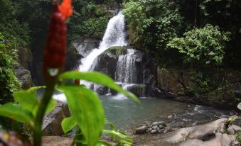 La Ceiba Ecoadventures