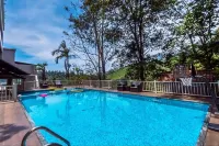 Chandys Windy Woods Munnar - Pool