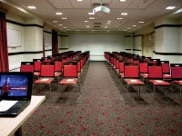 Ibis Samara