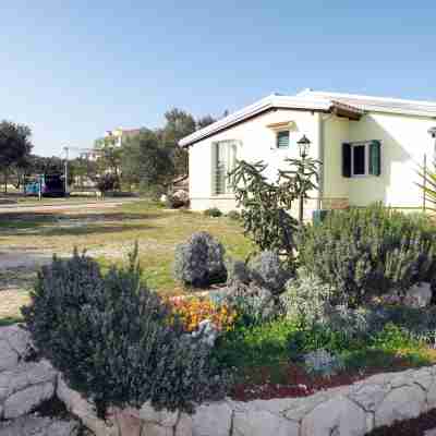 Camp Marko Hotel Exterior