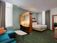 SpringHill Suites Houston Downtown/Convention Center Hotels near McGowen Station