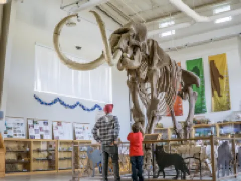 Holiday Inn Express & Suites OAKHURST-YOSEMITE PARK AREA by IHG Hotels in Oakhurst