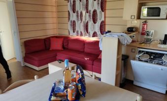 Large Mobile Homes Sleeping 8 with Air Conditioning in a Holiday Village