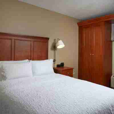 Hampton Inn Ann Arbor-South Rooms