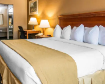 Quality Inn