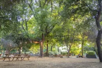 Camping Dafna - by Travel Hotel Chain Hotel a Gonen