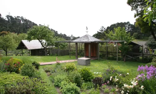 The Stanford Inn by the Sea Eco-Resort