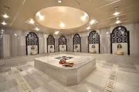 Ankara Plaza Hotel Hotels in Ankara