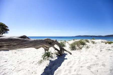 Spectacular new penthouse with sea and green view, 5th floor, with free wi-fi