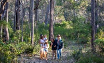 Redgate Forest Retreat