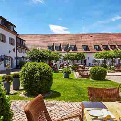Schloss Reinach Hotel Exterior