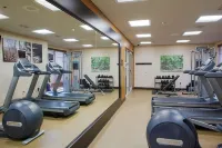 Hilton Garden Inn Bentonville Rogers - Fitnessstudio