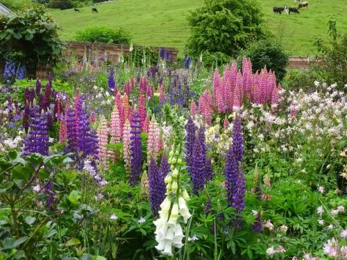 老韋斯利傻姑傳統住宿酒店