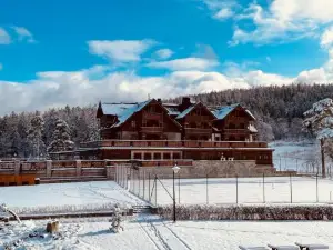 Hotel Seidorf