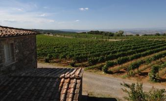 Villa le Prata - Farm House & Winery - Adults Only