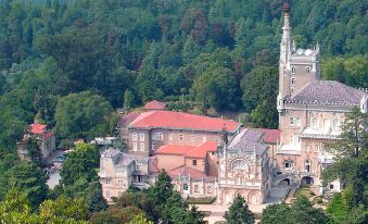 Alegre - Bussaco Boutique Hotel