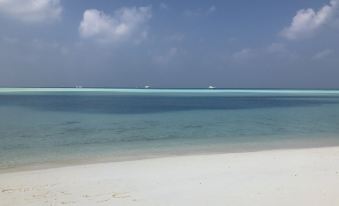 1. 코랄 코브 몰디..