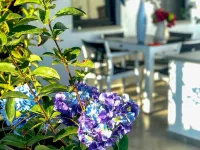 Yalin Apart Hotel -  Appartamenti vacanze