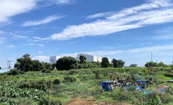 The Villa on Shonan Hill