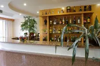 Hotel Aguiar da Pena - bars